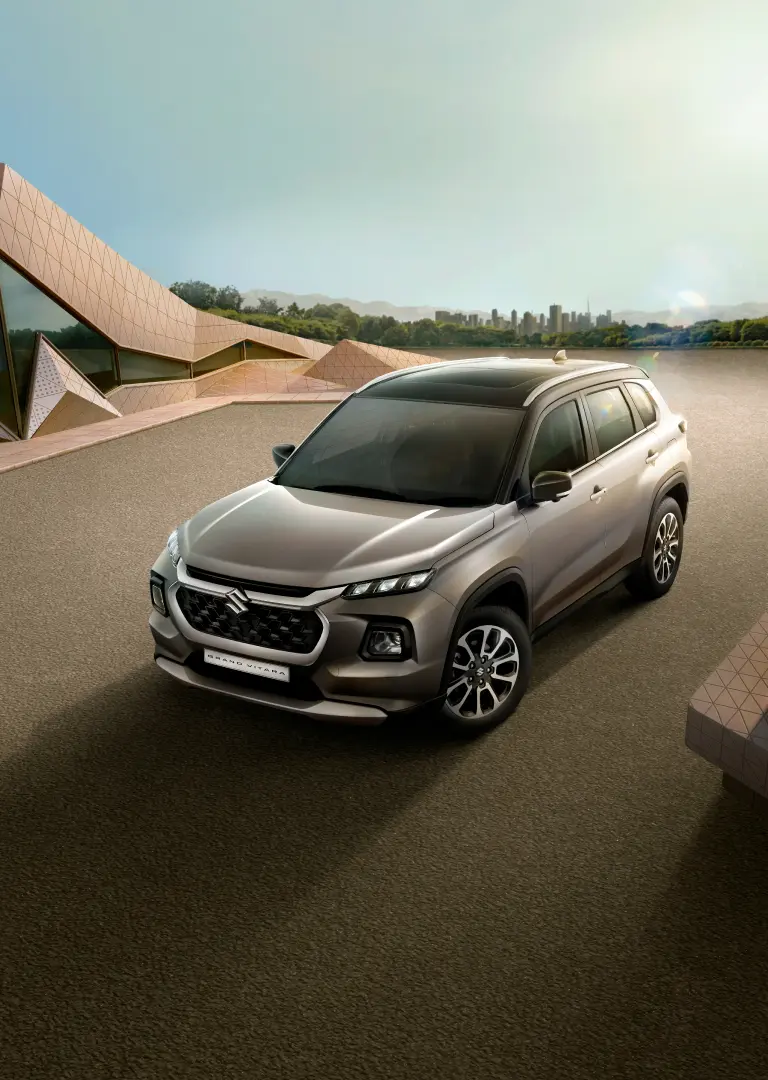 Suzuki Year End Momentum